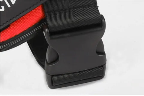 Harnais lumineux  pour chien protection de nuit contre automobiliste!!