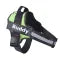 Harnais lumineux  pour chien protection de nuit contre automobiliste!!