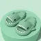 Requin Pantoufles