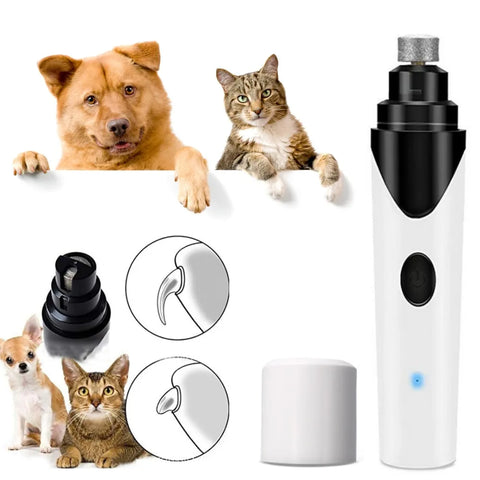 Patte Toilettage Kit pour chien