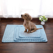 Refroidissement Tapis chien