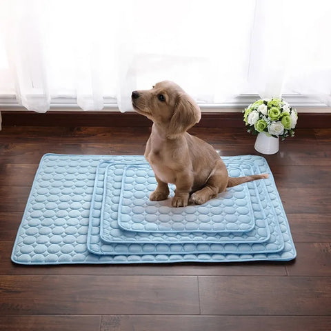 Refroidissement Tapis chien