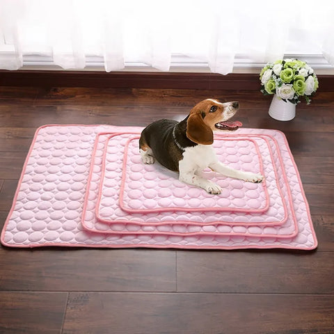 Refroidissement Tapis chien