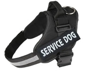 Harnais lumineux  pour chien protection de nuit contre automobiliste!!