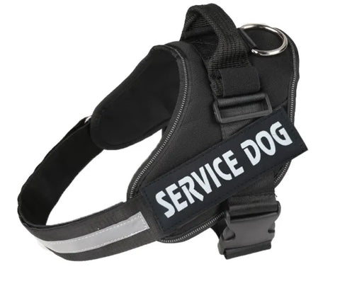 Harnais lumineux  pour chien protection de nuit contre automobiliste!!
