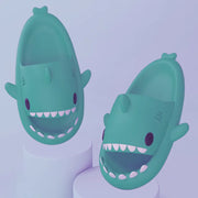 Requin Pantoufles