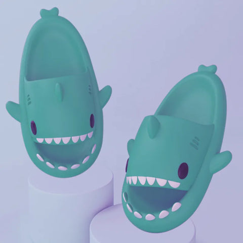 Requin Pantoufles