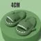 Requin Pantoufles