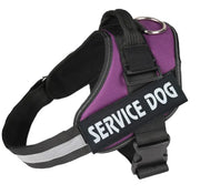 Harnais lumineux  pour chien protection de nuit contre automobiliste!!