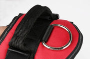 Harnais lumineux  pour chien protection de nuit contre automobiliste!!