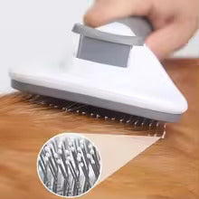 brosse de bain ronde pour chien et chat	