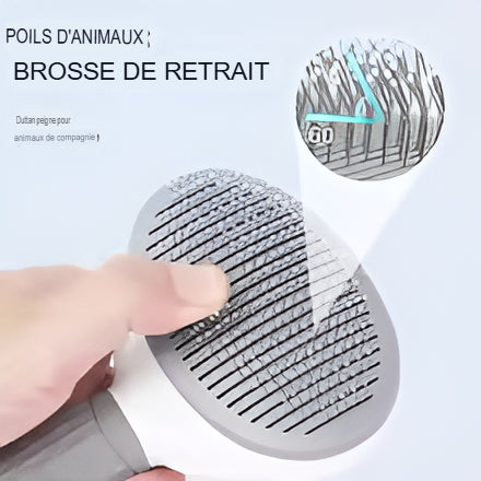 brosse de bain ronde pour chien et chat	