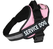 Harnais lumineux  pour chien protection de nuit contre automobiliste!!