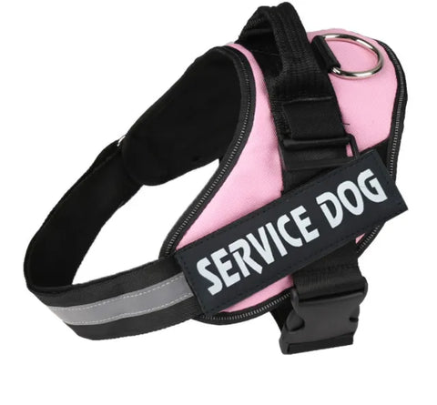 Harnais lumineux  pour chien protection de nuit contre automobiliste!!