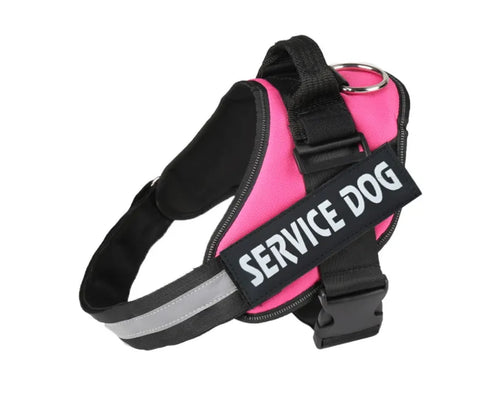 Harnais lumineux  pour chien protection de nuit contre automobiliste!!