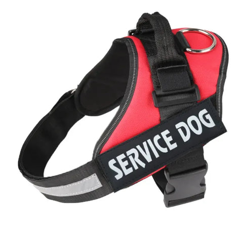Harnais lumineux  pour chien protection de nuit contre automobiliste!!