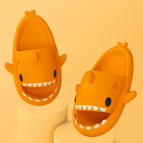 Requin Pantoufles