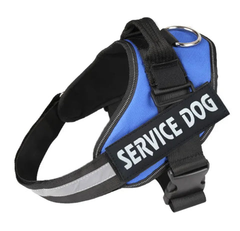 Harnais lumineux  pour chien protection de nuit contre automobiliste!!