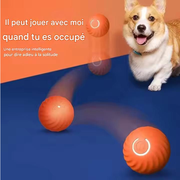 jouet électronique intelligent