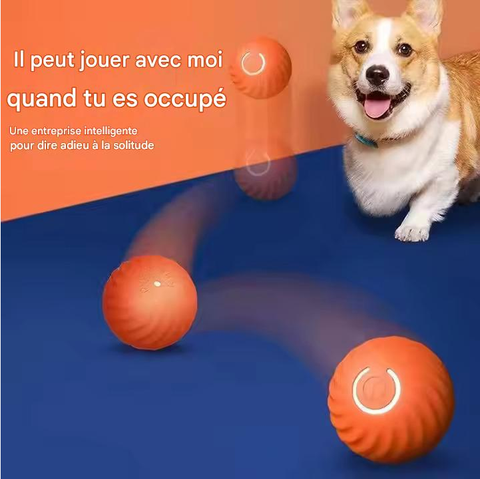jouet électronique intelligent