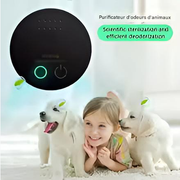 Purificateur d'air Stérilisant Compact