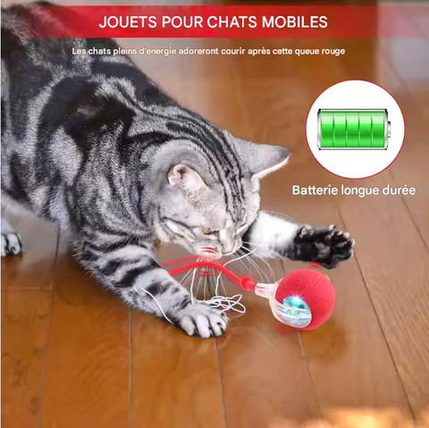 jouet électronique intelligent