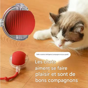 jouet électronique intelligent